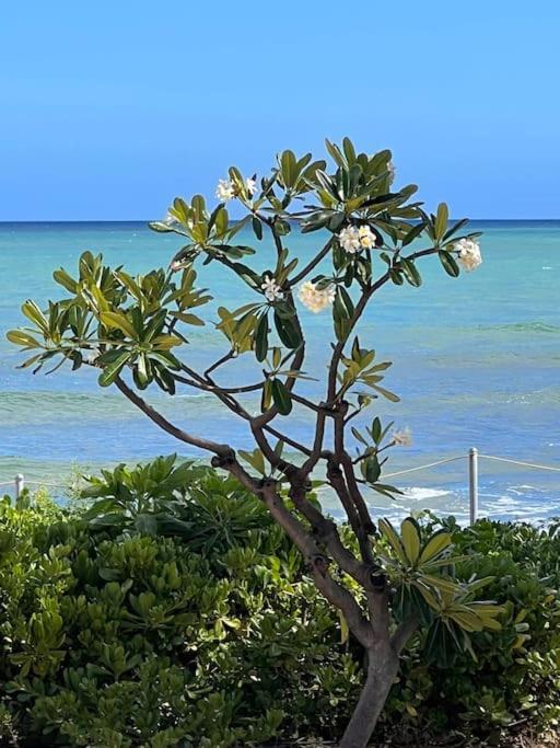Ewa Beachhouse Ewa Beach